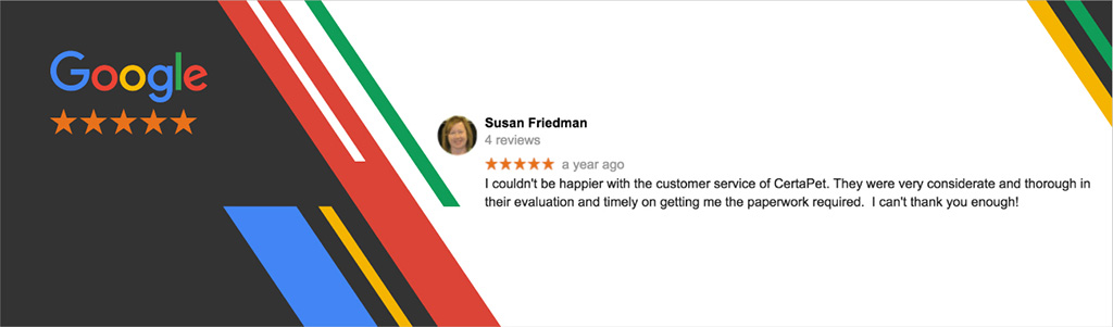 google review 2
